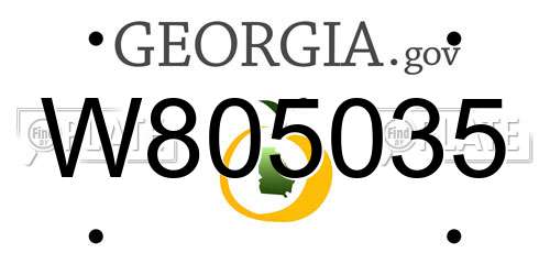 W805035 Georgia License Plate