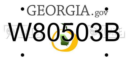 W80503B Georgia License Plate