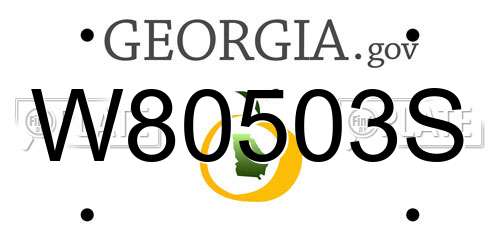 W80503S Georgia License Plate