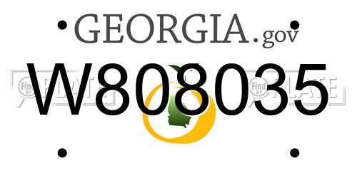 W808035 Georgia License Plate