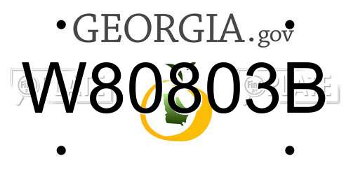 W80803B Georgia License Plate