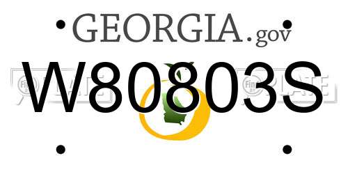 W80803S Georgia License Plate