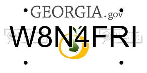 W8N4FRI Georgia License Plate
