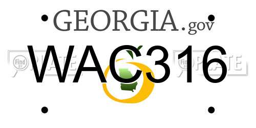 WAC316 Georgia License Plate