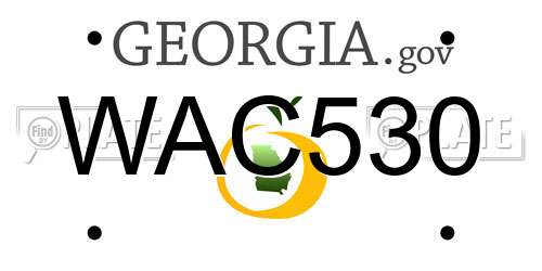WAC530 Georgia License Plate