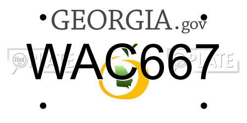 WAC667 Georgia License Plate