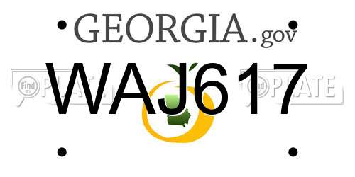 WAJ617 Georgia License Plate