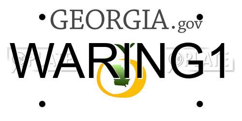 WARING1 Georgia License Plate