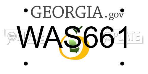 WAS661 Georgia License Plate