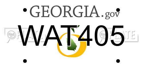 WAT405 Georgia License Plate