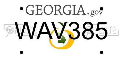 WAV385 Georgia License Plate