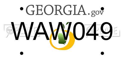 WAW049 Georgia License Plate