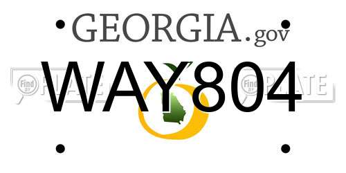 WAY804 Georgia License Plate