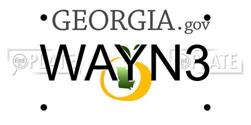 WAYN3 Georgia License Plate