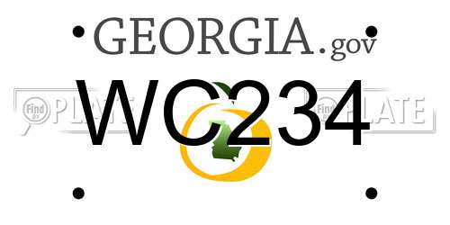 WC234 Georgia License Plate