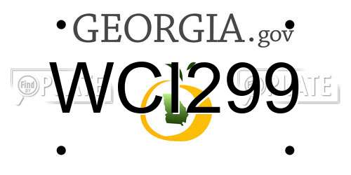 WCI299 Georgia License Plate