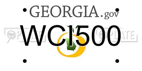 WCI500 Georgia License Plate