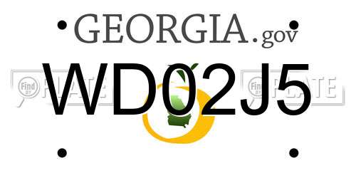 WD02J5 Georgia License Plate