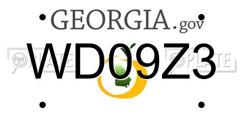 WD09Z3 Georgia License Plate