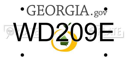 WD209E Georgia License Plate