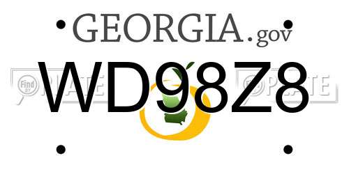 WD98Z8 Georgia License Plate