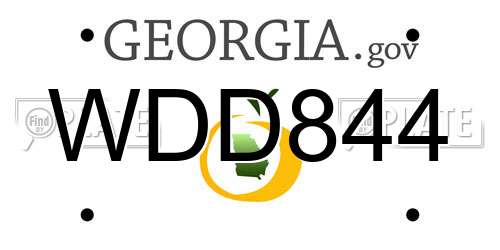 WDD844 Georgia License Plate