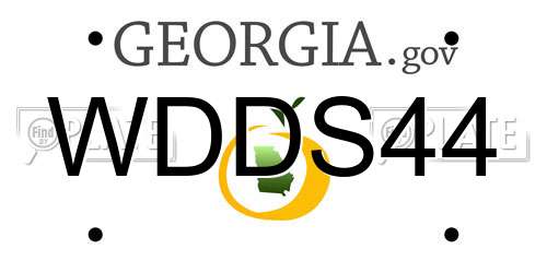WDDS44 Georgia License Plate