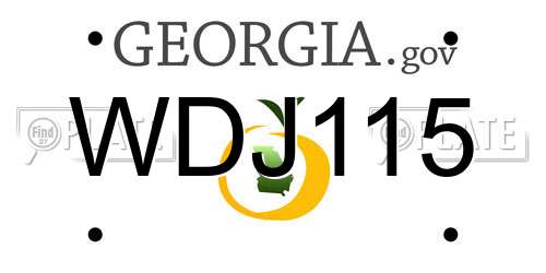 WDJ115 Georgia License Plate