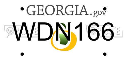 WDN166 Georgia License Plate