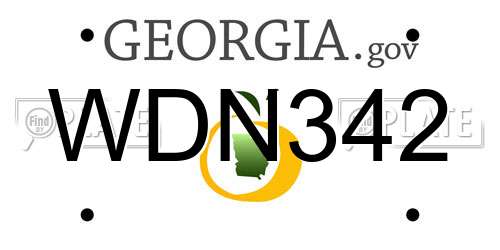 WDN342 Georgia License Plate