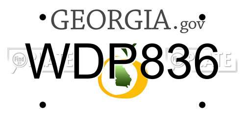 WDP836 Georgia License Plate
