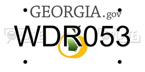 WDR053 Georgia License Plate