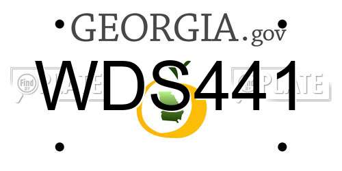 WDS441 Georgia License Plate