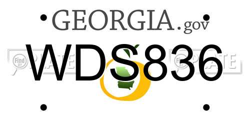 WDS836 Georgia License Plate