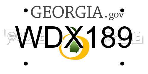 WDX189 Georgia License Plate