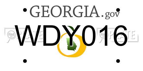 WDY016 Georgia License Plate