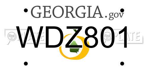 WDZ801 Georgia License Plate