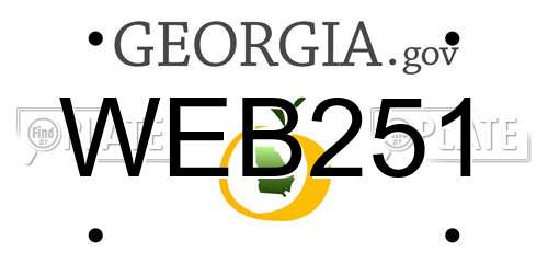 WEB251 Georgia License Plate