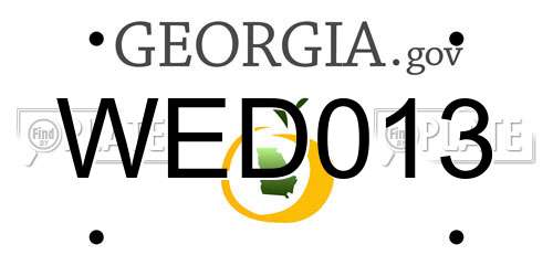 WED013 Georgia License Plate