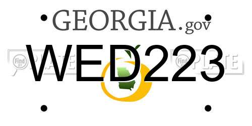 WED223 Georgia License Plate