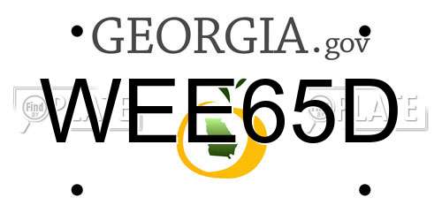 WEE65D Georgia License Plate