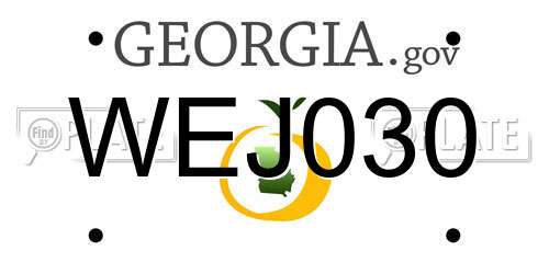 WEJ030 Georgia License Plate