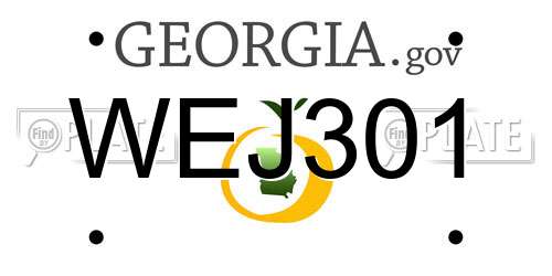 WEJ301 Georgia License Plate