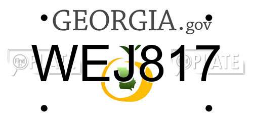 WEJ817 Georgia License Plate