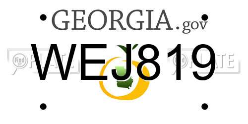 WEJ819 Georgia License Plate