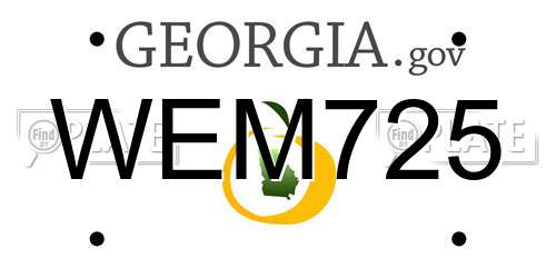 WEM725 Georgia License Plate