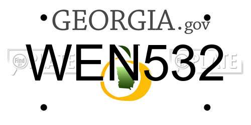 WEN532 Georgia License Plate