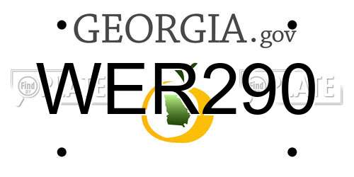 WER290 Georgia License Plate