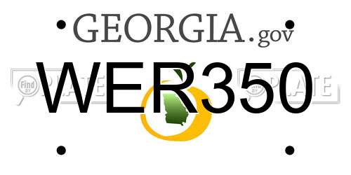 WER350 Georgia License Plate