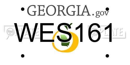 WES161 Georgia License Plate